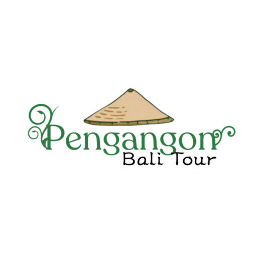 pengangonbalitour.com